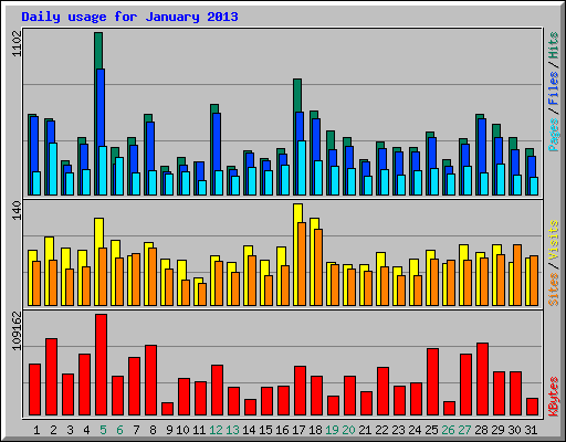 Daily usage for January 2013
