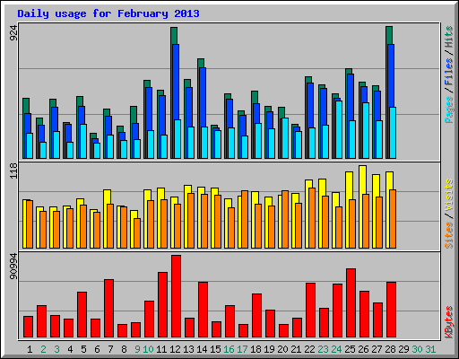 Daily usage for February 2013