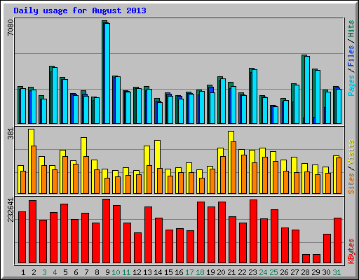Daily usage for August 2013