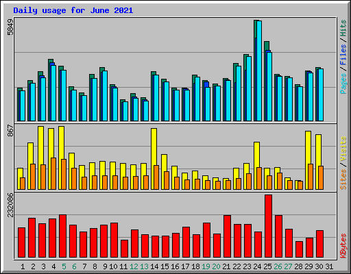 Daily usage for June 2021