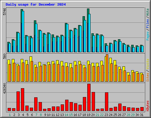 Daily usage for December 2024