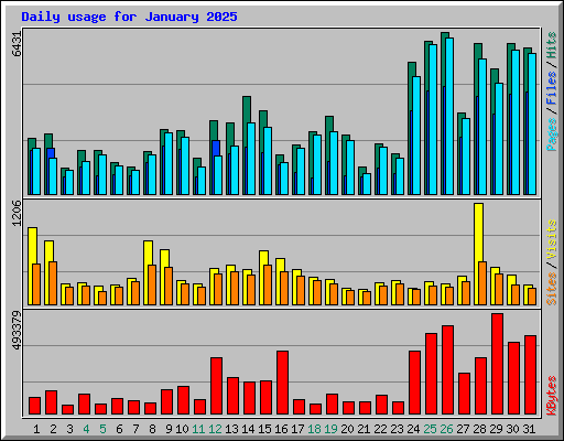 Daily usage for January 2025