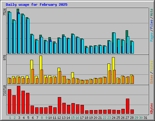 Daily usage for February 2025
