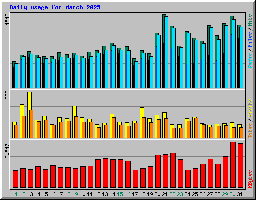 Daily usage for March 2025