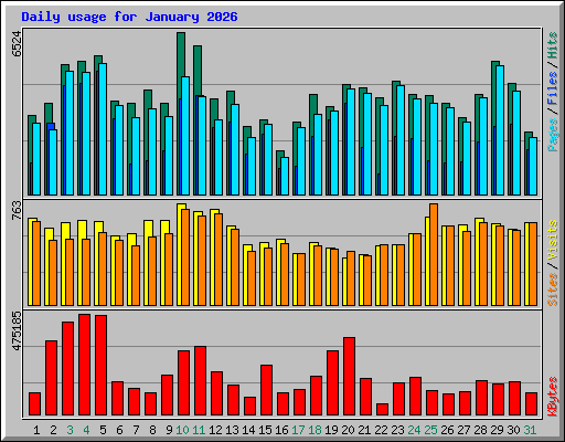 Daily usage for January 2026