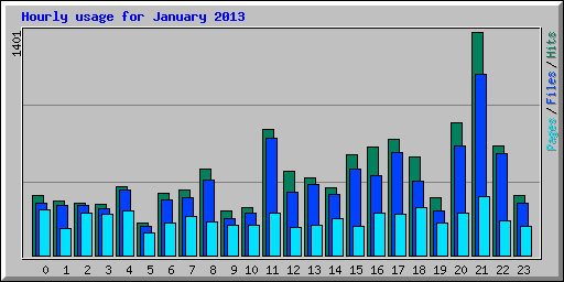 Hourly usage for January 2013