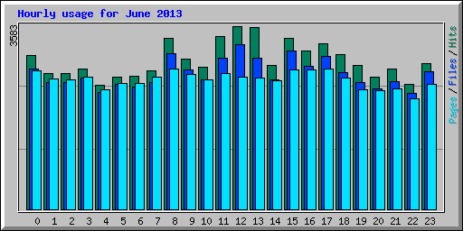 Hourly usage for June 2013