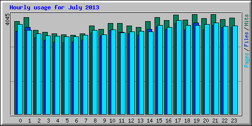Hourly usage for July 2013