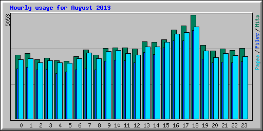 Hourly usage for August 2013