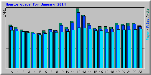 Hourly usage for January 2014