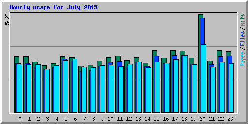 Hourly usage for July 2015