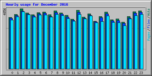Hourly usage for December 2016