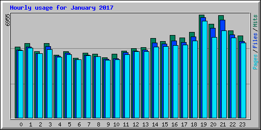 Hourly usage for January 2017