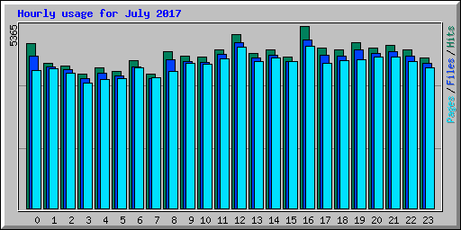 Hourly usage for July 2017