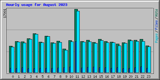 Hourly usage for August 2023
