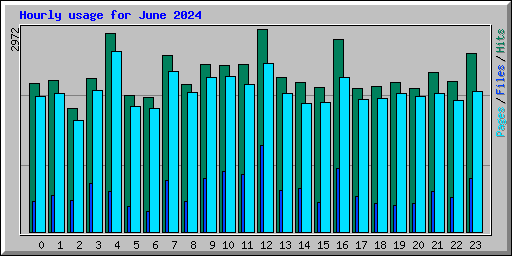Hourly usage for June 2024