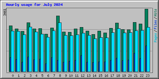 Hourly usage for July 2024