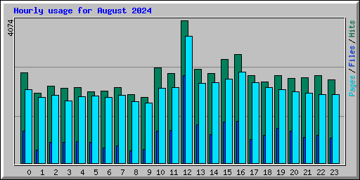 Hourly usage for August 2024