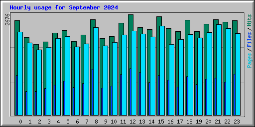 Hourly usage for September 2024