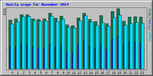 Hourly usage for November 2024