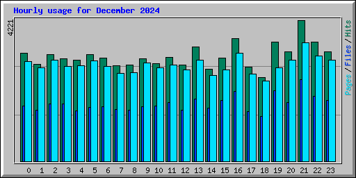 Hourly usage for December 2024