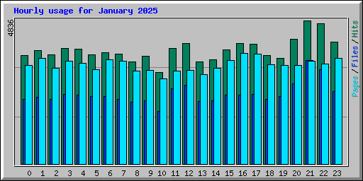 Hourly usage for January 2025
