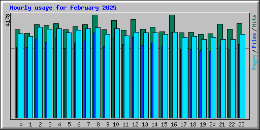 Hourly usage for February 2025