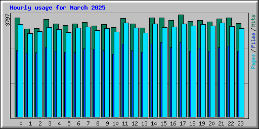Hourly usage for March 2025