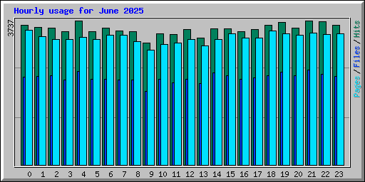 Hourly usage for June 2025