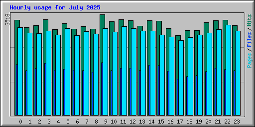 Hourly usage for July 2025