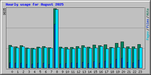 Hourly usage for August 2025
