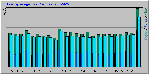 Hourly usage for September 2025