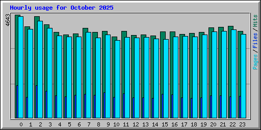 Hourly usage for October 2025