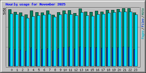 Hourly usage for November 2025
