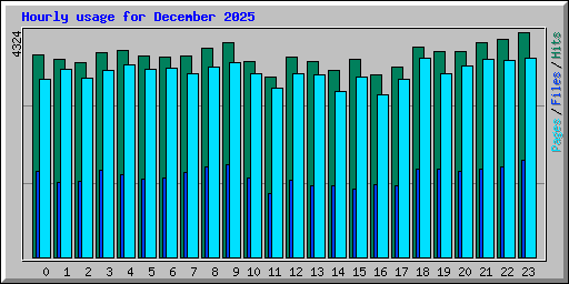Hourly usage for December 2025