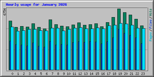 Hourly usage for January 2026