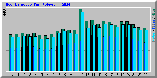 Hourly usage for February 2026