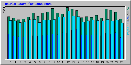 Hourly usage for June 2026