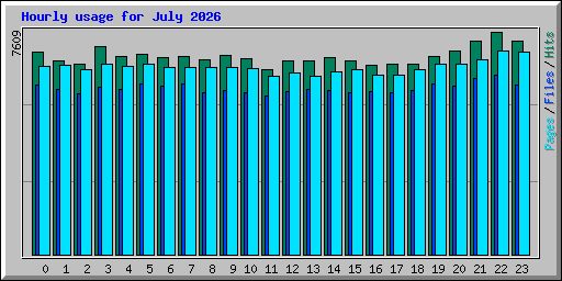 Hourly usage for July 2026