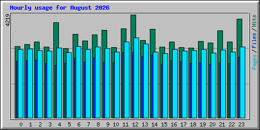Hourly usage for August 2026
