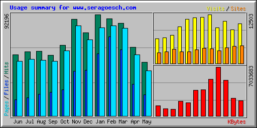 Usage summary for www.seragoesch.com